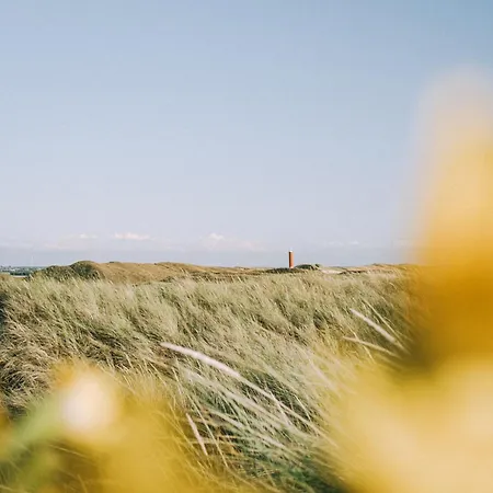 Zeevonk - Aan Zee Casa vacanze Julianadorp