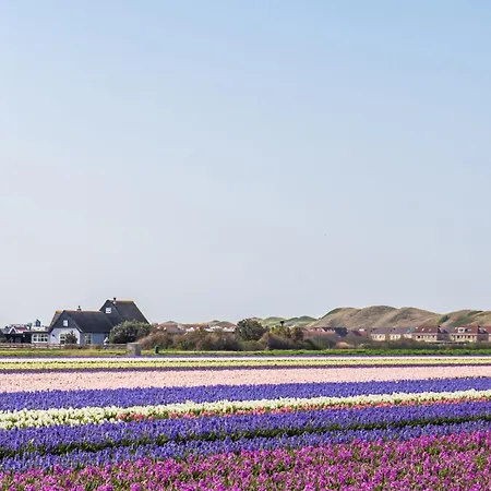 Zeevonk - Aan Zee Holiday home *